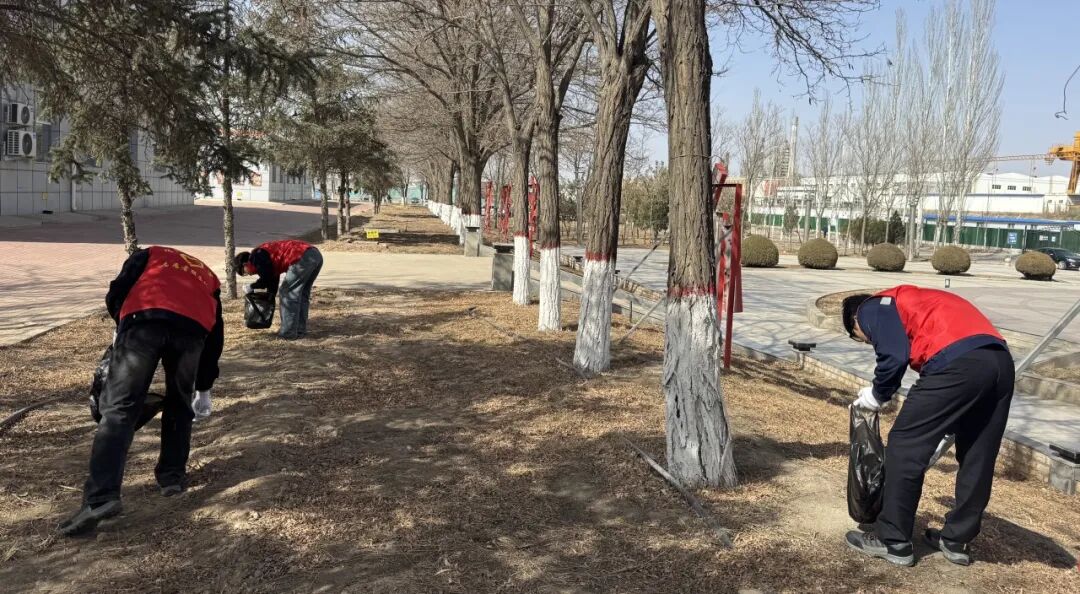 14.jpg 14.jpg