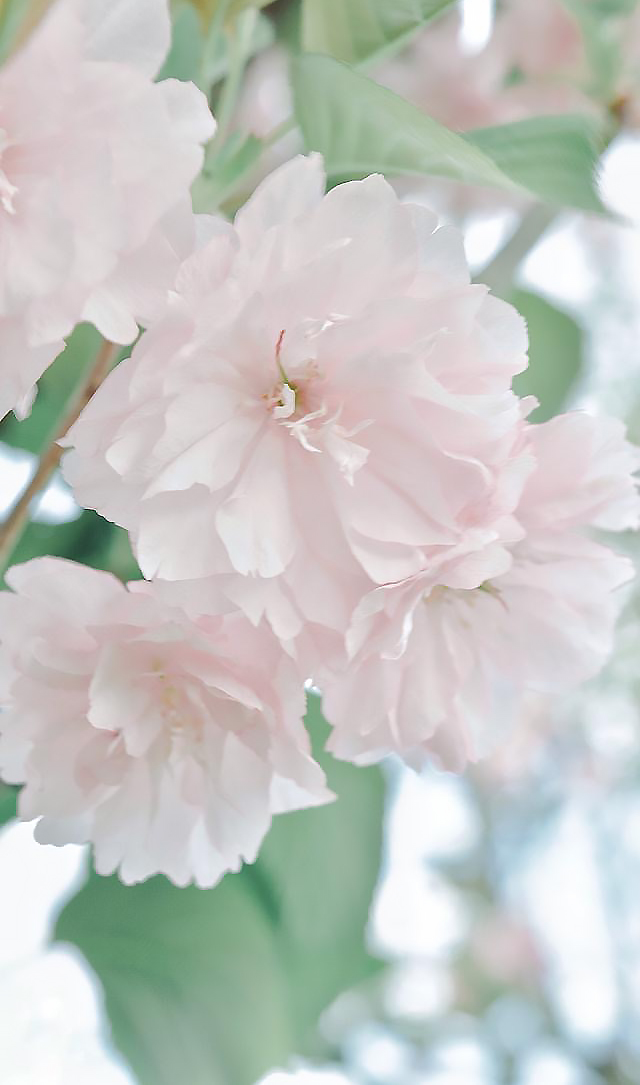 郝媛媛-3.jpg 郝媛媛-3.jpg